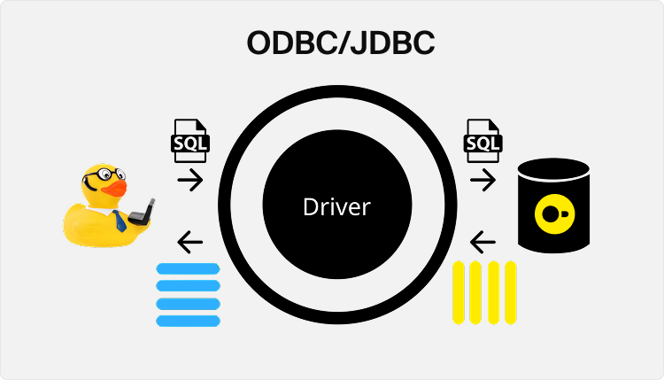 DuckDB-JDBC-ODBC